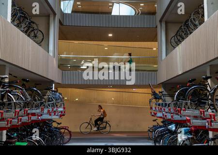 Zentrales Fahrradparkhaus am Stationsplein, dem größten Fahrradparkhaus der Welt mit über 13,000 Stellplätzen auf 3 Etagen, direkt unter dem Hauptbahnhof, Utrecht Centraal, Niederlande, Fahrradparkhaus Utrecht *** garage à vélos central à Stationsplein, le plus grand garage à vélos du monde avec plus de 13 000 places sur 3 étages, directement sous la gare centrale, Utrecht Centraal, Utrecht, les pays-Bas garage à vélos Banque D'Images