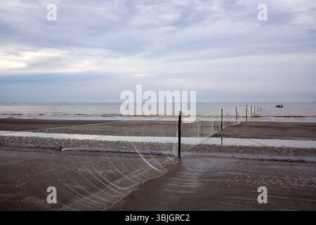 Des filets de pêche attachés à des bâtons s’étendent sur les plaines de marée de Kuakata Beach, au Bangladesh, sous un ciel côtier calme et couvert. Banque D'Images