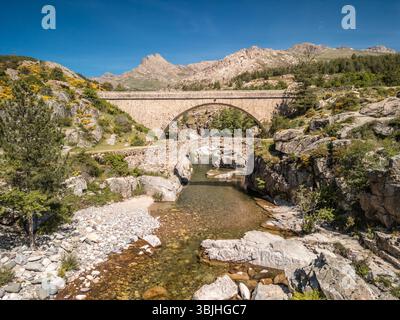 Le pont de Ponte Altu se trouve à côté d'un ancien pont génoise à Albertacce sur l'île méditerranéenne de Corse en passant au-dessus de la Gol cristalline Banque D'Images