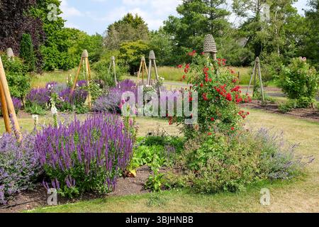 Cambridge Royaume-Uni juin 2025 - le jardin botanique de l'Université de Cambridge Banque D'Images