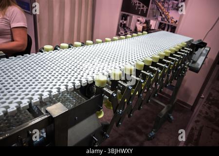 Gros plan d'un tapis transporteur modulaire en plastique blanc avec rouleaux d'appui jaunes, faisant partie d'une chaîne de fabrication industrielle ou d'assemblage. Banque D'Images