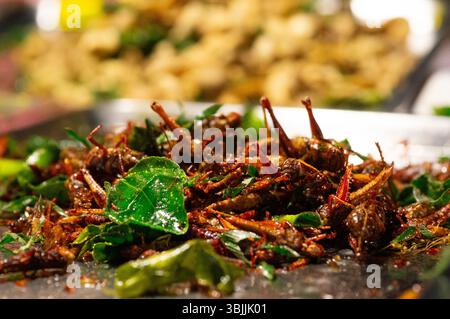 Sauterelles frites avec des herbes dans un stand de cuisine de rue thaïlandais Banque D'Images