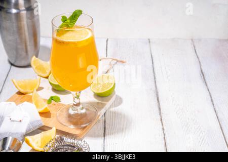 Ensemble de cocktails inspiré du thé tendance à partir de vert, oolong, noir, chai et autres mélanges de thé. Soda au thé pétillant, boissons froides d'été avec sirop, citron, citron vert Banque D'Images