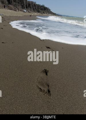 Empreintes de pas sur une belle plage. gros plan des empreintes humaines dans le sable humide sur le bord de mer Banque D'Images