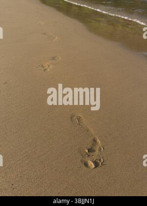 Empreintes de pas sur une belle plage. gros plan des empreintes humaines dans le sable humide sur le bord de mer Banque D'Images