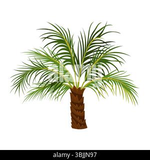 Palmier Phoenix ou robellini, dattier nain. Plante pygmée miniature de vecteur pour la côte de la mer, paysage de plage. Icône pour le jardin tropical et la culture. Flore estivale. Thème botanique et agriculture exotique. Illustration de Vecteur