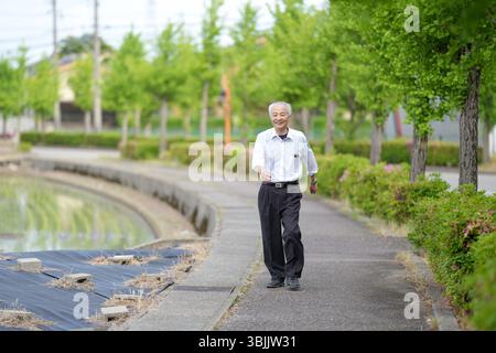 Dans les campagnes japonaises, un Japonais de la fin des années 70 marche le long d'une route agricole entourée de larges rizières. Il porte une chemise blanche et un chapeau, appréciant le fr Banque D'Images