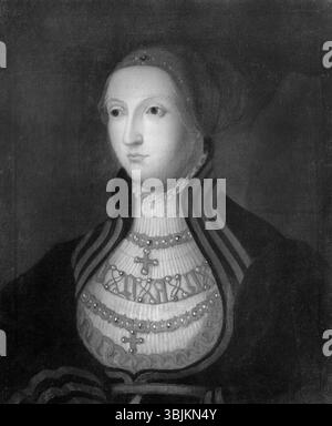 Cette peinture à l'huile du XVIIe siècle de David Frumerie représente Anne, comtesse de Foix, reine de Bohême et de Hongrie, décédée en 1506. L'œuvre met en valeur son statut royal et sa noble identité, mêlant portraits historiques et symbolisme royal. Banque D'Images