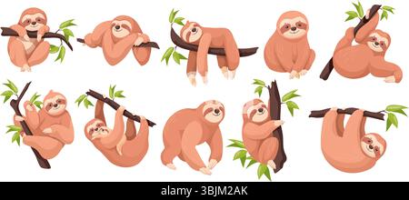 Paresseux de dessins animés. Mignon paresseux animal paresseux sommeil sur l'arbre, maman avec bébé grimpe ou branche suspendue amazone jungle animaux adorables pose un visage heureux endormi, set soigné illustration vectorielle illustration originale Illustration de Vecteur
