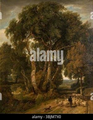 Havell, William ; Driving Home the Flock ; Birmingham Museums Trust ; http ://www.artuk.org/artworks/driving-home-the-flock-33402 Banque D'Images