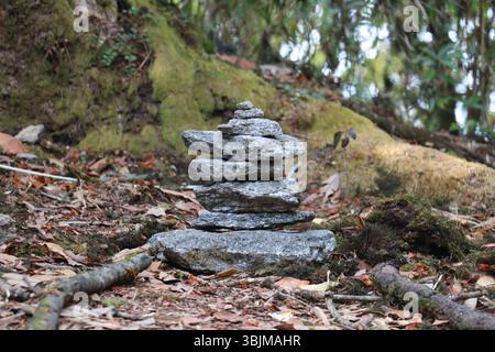 Pile de pierres équilibrée dans la forêt : concept de méditation Zen et de pleine conscience Banque D'Images