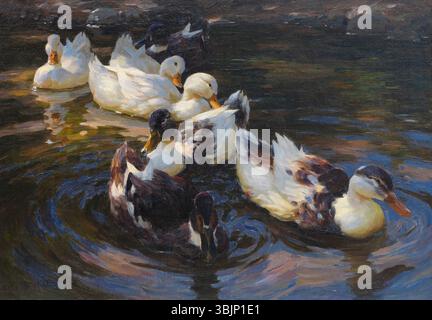 Alexander Koester (1864-1932) peint Ducks in Morning Sun en 1904. L'huile sur toile montre des canards glissant sur l'eau bleue réfléchissante sous la lumière douce du soleil. Banque D'Images