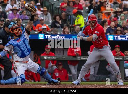 BALTIMORE, MD - 15 JUIN : lors d'un match MLB entre les Orioles de Baltimore et les Angels de Los Angeles, le 15 juin 2025, à Oriole Park à Camden Yards, à Baltimore, Maryland. (Photo de Tony Quinn Banque D'Images