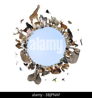 De nombreux animaux sauvages entourant la planète Terre, représentant la conservation mondiale de la faune et la protection de l'environnement Banque D'Images