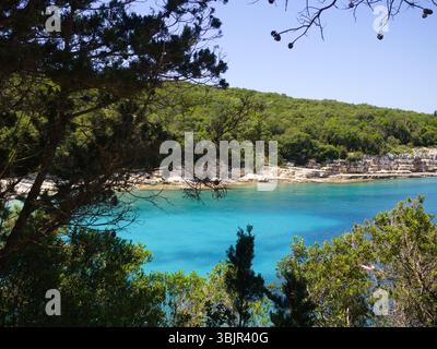 Plage cachée tranquille sur Céphalonie, encadrée par la forêt et les buissons, l'eau turquoise incandescente et les falaises beiges sous le ciel ensoleillé. Banque D'Images
