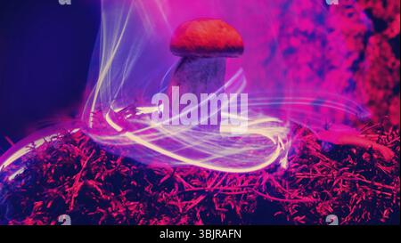 Nature néon. Les champignons et les plantes illuminée par un gaz inerte. Les choses paradoxales et de couleurs que les couleurs des jeunes Banque D'Images