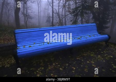 Une promenade solitaire dans le parc d'automne. Une allée enveloppée de brouillard épais, de bancs de parc vides et d'un silence assourdissant évoque une triste humeur Banque D'Images