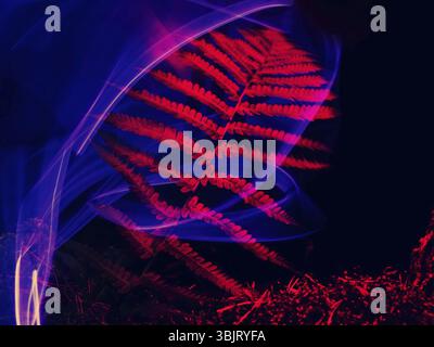 Nature néon. Les champignons et les plantes illuminée par un gaz inerte. Les choses paradoxales et de couleurs que les couleurs des jeunes Banque D'Images