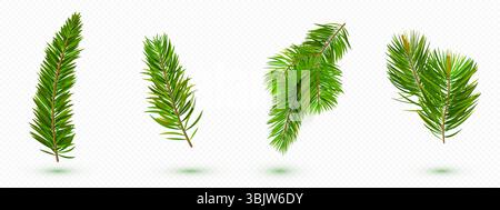 Collection de branches de pin vert - feuillage persistant avec des aiguilles, ensemble de branches de conifères pour la décoration. Éléments forestiers naturels de brindilles d'épicéa, feuilles de sapin sur blanc pour la conception de guirlande de Noël. Illustration de Vecteur