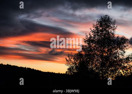 un ciel de coucher de soleil rose éclatant avec des nuages sur les collines et un arbre silhouette au premier plan Banque D'Images