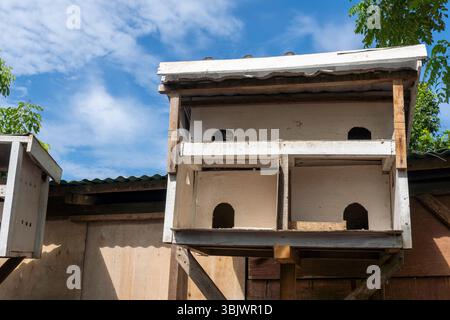 Birdhouse avec trois compartiments est sur une structure en bois. Banque D'Images