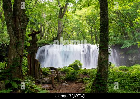 Choshi Otaki Waterfall, la cascade la plus puissante du ruisseau Oirase, crée un spectacle dynamique et brumeux dans la gorge d'Oirase Banque D'Images