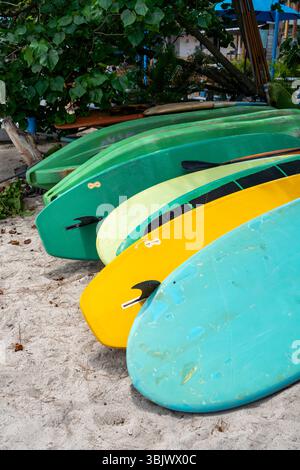 Bouquet de planches de surf sont empilées sur la plage. Les planches de surf sont vertes et jaunes. Les planches de surf ne sont pas utilisées Banque D'Images