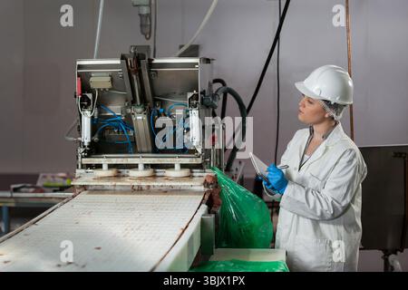 Convoyeur à bande alimentant la machine de remplissage en acier inoxydable dans l'usine alimentaire, montrant la doublure en plastique vert Banque D'Images