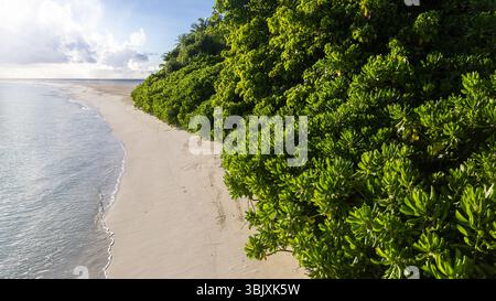Atoll Beach au lever du soleil Banque D'Images