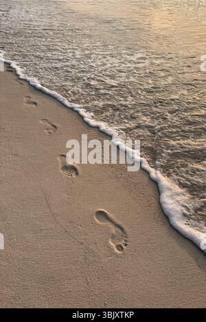 Empreintes au bord de l'eau sur la plage aux Maldives Banque D'Images