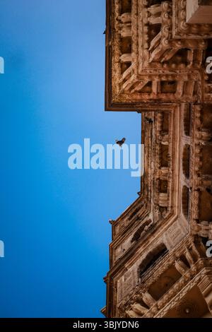 Une perspective ascendante de l'architecture du Rajasthani finement sculptée avec un oiseau à mi-vol. Il capture l’essence artistique de l’architecture indienne Banque D'Images