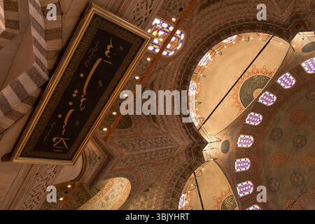Les visiteurs admirent l'architecture étonnante et les œuvres d'art détaillées d'une célèbre mosquée d'Istanbul, capturant son riche patrimoine culturel. Banque D'Images