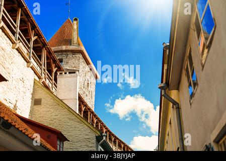 Remparts de la forteresse de la vieille ville de Tallinn en été. Banque D'Images