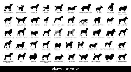 Collection silhouettes de races de chiens Illustration de Vecteur