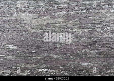 Gros plan d'une surface en bois fissurée et altérée avec une texture de peinture écaillée. Idéal pour l'arrière-plan de conception, les thèmes de décomposition et l'utilisation abstraite. Personne. Banque D'Images