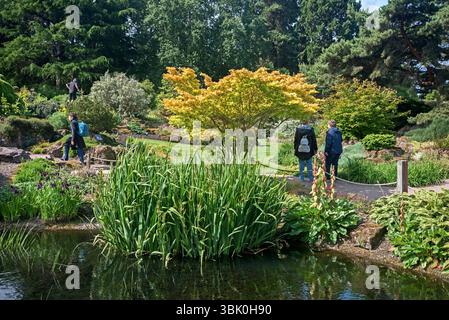 Partie du Rock Garden dans le Royal Botanic Garden Edinburgh (RBGE), Écosse, Royaume-Uni. Banque D'Images
