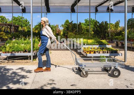 Jardinier senior poussant un chariot dans une pépinière de plantes par une journée ensoleillée, entouré de diverses plantes Banque D'Images