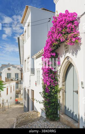 Les balcons décoratifs en fer forgé débordent de fleurs colorées et de plantes en pot sur la façade d'un bâtiment méditerranéen historique. Banque D'Images