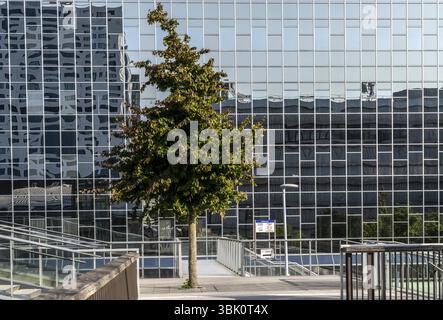 Façade réfléchissante du bâtiment Rabobank à la gare centrale, Utrecht Centraal, pays-Bas Banque D'Images