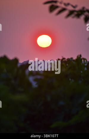Le soleil brille au-dessus de la limite des arbres dans un ciel aux teintes magenta tandis que le crépuscule descend sur le paysage. Banque D'Images
