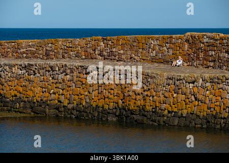 Senior profitant d'un peu de temps sur le quai de Cellardyke Harbour, Fife, Écosse. Banque D'Images