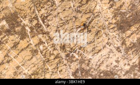 Texture élégante de pierre marron et or Banque D'Images