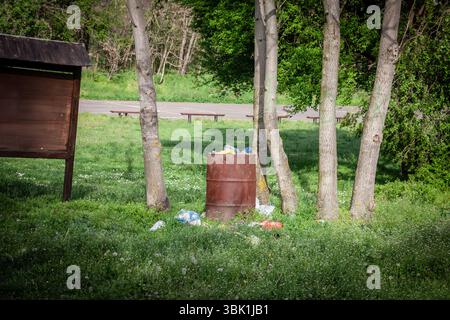 Tambour en acier rouillé utilisé comme poubelle dans une défrichement boisé herbeux, débordant de bouteilles en plastique et de litière, mettant en évidence les polluants environnementaux Banque D'Images