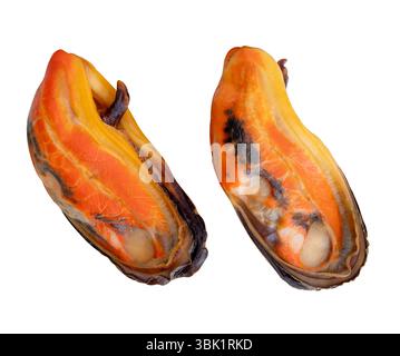 Vue de côté ensemble de deux moules vertes cuites dans la viande rouge sans coquille est isolé sur fond blanc avec chemin de découpage. Banque D'Images