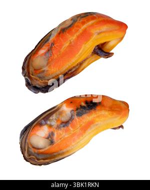 Vue de côté ensemble de deux moules vertes cuites dans la viande rouge sans coquille est isolé sur fond blanc avec chemin de découpage. Banque D'Images