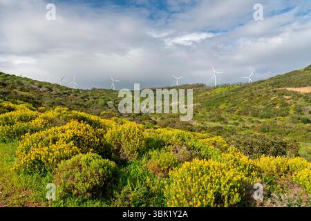 Éoliennes sur une colline près de Sagres, Algarve, Portugal, Europe. Banque D'Images