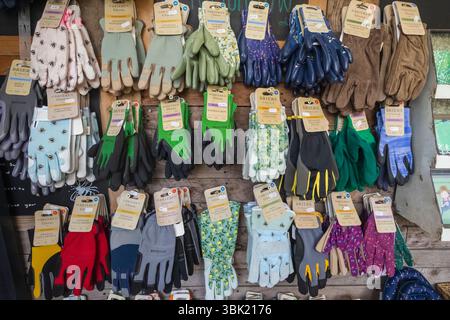 Angleterre, Somerset, Bath, Royal Victoria Park, le jardin urbain, présentoir coloré de gants de jardinage Banque D'Images
