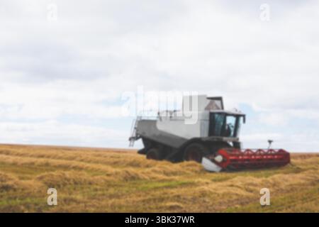 La moissonneuse-batteuse plate se déplace lentement à travers le champ de grains dorés, montrant des rabatteurs de coupe rouges Banque D'Images