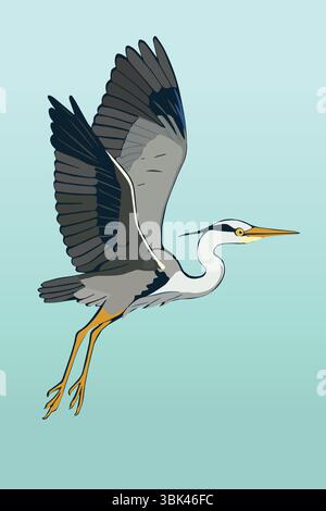 Une illustration d'un héron gris en vol. Il ne fait que s'en prendre Illustration de Vecteur