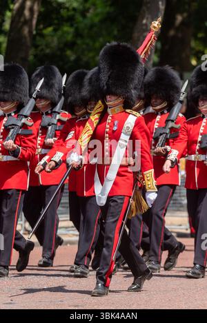 Couleur des Coldstream Guards au Trooping the Colour 2025, dans le Mall, Londres, Royaume-Uni. Enseigne Lieutenant Max Martin portant le drapeau de couleur Banque D'Images